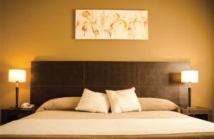 サン・ミゲル・デ・トゥクマンにあるHotel Premierのベッドルーム1室(大型ベッド1台、ランプ2つ付)