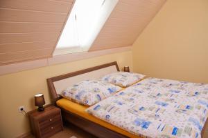 1 dormitorio con 1 cama y tragaluz en Alt Baden Apartement, en Dunaszekcső