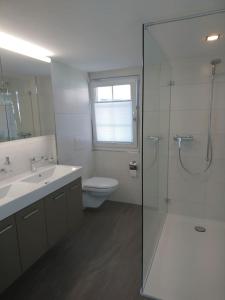 La salle de bains est pourvue de toilettes, d'un lavabo et d'une douche. dans l'établissement Zwinglis Ferienwohnung Klärli, à Nesslau