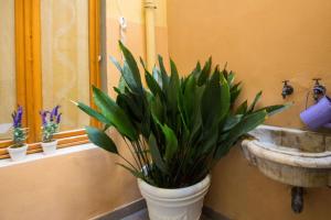 Kúpeľňa v ubytovaní Charming Fiesolana Apartment in heart of Florence