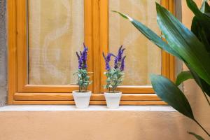 Fotografia z galérie ubytovania Charming Fiesolana Apartment in heart of Florence vo Florencii