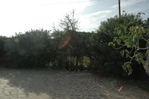Gallery image of VILLETTA ELBA LE PALME LIDO DI CAPOLIVERI in Capoliveri