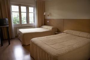Una habitación de hotel con dos camas y una ventana. en Hostal Bezana, en Burgos