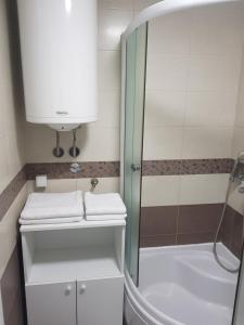 Vannituba majutusasutuses Apartman KEJ BLUE free parking