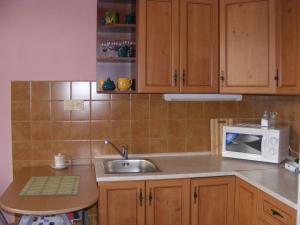 Kuchyňa alebo kuchynka v ubytovaní Apartmán Maršík