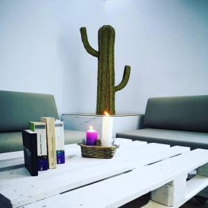 a table with a cactus and a candle and books at Alojamientos 4nudos in San José