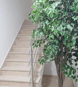Fotografie z fotogalerie ubytování Laganini, studio apartman 3 FLOWER v destinaci Nova Gradiška