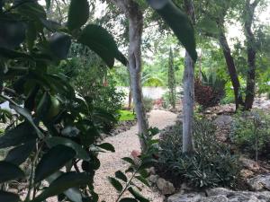 Vrt pred nastanitvijo The Pickled Onion B&B and Restaurant Uxmal