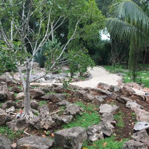 Vrt pred nastanitvijo The Pickled Onion B&B and Restaurant Uxmal