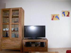 TV a/nebo společenská místnost v ubytování Ferienwohnung Am Goldbach