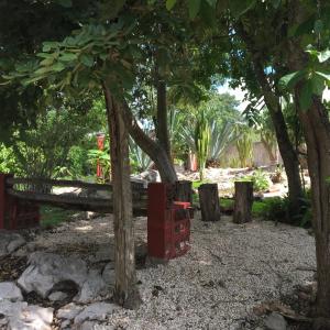 Vrt pred nastanitvijo The Pickled Onion B&B and Restaurant Uxmal