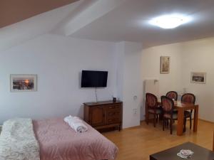 Gallery image of Sky Apartman in Soko Banja