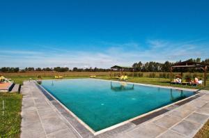 une grande piscine d'eau bleue dans un champ dans l'établissement Podere Del Gesso, à Tarquinia