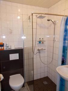 Koupelna v ubytování Ferienhaus Klinder