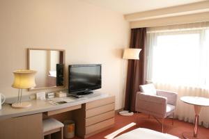 TV a/nebo společenská místnost v ubytování Kawagoe Prince Hotel