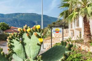 a prickly pearuanauanauanauanauanauanauanauanauanauanauana at Medimar Hotel in Kaş