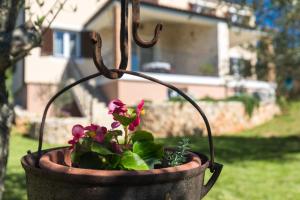 普納特的住宿－Villa Poduniz，院子里挂在植物上的盆栽植物
