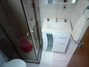 a small bathroom with a sink and a shower at Aptos Farroupilha in Farroupilha