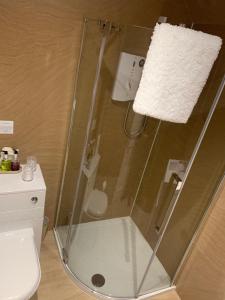 uma cabina de duche com WC na casa de banho em Drumdale Bed and Breakfast em Inverness