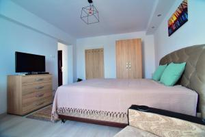 a bedroom with a large bed and a flat screen tv at Belvedere Studio in Tulcea
