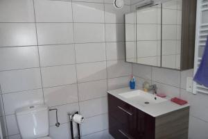 uma casa de banho com um WC, um lavatório e um espelho. em Gîte chez Claude & Jacqueline em Neuwiller-lès-Saverne