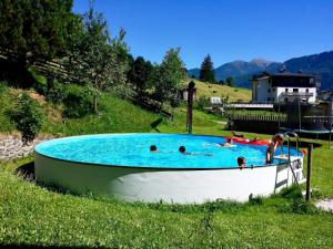 a group of people in a pool in a field at Huberhof Mareit - Südtirol in Racines