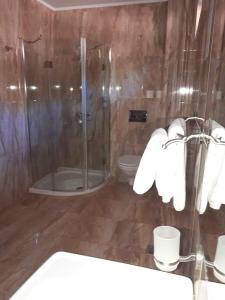 uma casa de banho com chuveiro, WC e toalhas em Hotel Dennis em Mediaş