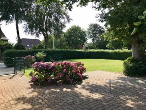 Ein paar lila Blumen im Garten in der Unterkunft Ferienhaus "Auf dem Bremsberg" in Glücksburg + 21 Fotos