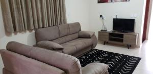 uma sala de estar com um sofá e uma televisão em Casa Melo 6 em Olímpia