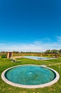 a swimming pool in the middle of a grass field at Podere Del Gesso in Tarquinia