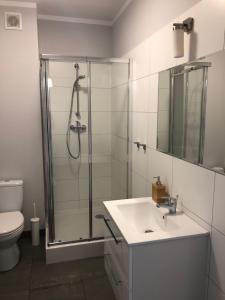a bathroom with a shower and a sink and a toilet at APARTAMENT ŚMIAŁEGO 9 in Świdnica