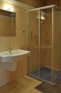 a bathroom with a sink and a glass shower at Radocza Park Active & Spa in Radocza