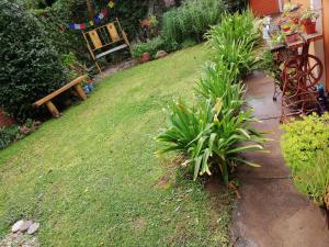 un patio con césped con un banco y plantas en Alojamiento familiar en Coronel Suárez