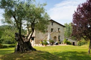 kamienny dom z drzewem przed nim w obiekcie CASALE SANTA CATERINA Jacuzzi and Pool w mieście Collazzone