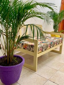 a bench in a room with a potted plant at Pedregal Home in Cartagena de Indias