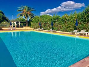 a blue swimming pool with chairs and a palm tree at Residence La Valdana in Capoliveri