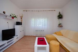- un salon avec un canapé et une télévision dans l'établissement Apartment Ruza, à Lopar