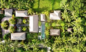 an overhead view of a yard with trees and plants at Villa Kanti in Ubud