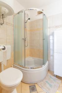 a bathroom with a shower and a toilet at Apartments Darija in Pučišća