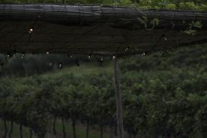Fotografie z fotogalerie ubytování Residence La Vigna v destinaci Arco