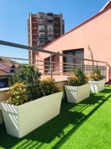 three plants in planters on a balcony of a building at VNVP Apartment in Štip