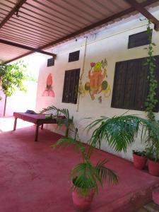 Aed väljaspool majutusasutust HOTEL THE PUSHKAR FLOWER
