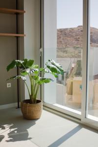 Fotografie z fotogalerie ubytování Sosiego Hostal de Mar v destinaci Puerto de Mazarrón