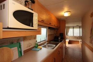 a small kitchen with a microwave and a sink at Mobilhome Markgrafenheide für Familie und Monteure in Markgrafenheide