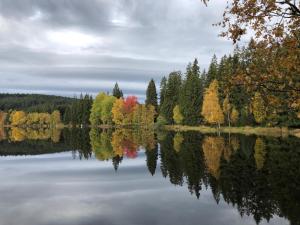 eine Reflexion der Herbstbäume in einem See in der Unterkunft Apartment Chalet Kladska in Marienbad