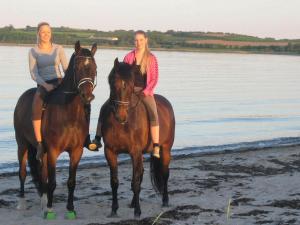 Horseback riding sa holiday home o sa malapit