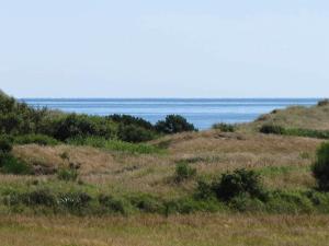 a field of grass with the ocean in the background at 6 person holiday home in Skagen in Hulsig