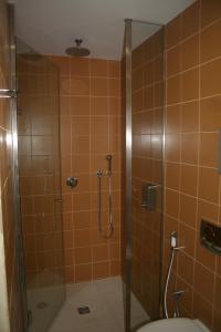 uma casa de banho com um chuveiro e um WC. em Estabulo de Valinhas em Vitorino dos Piães