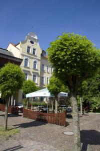 a tree in the middle of a park at Drexel´s Parkhotel in Memmingen