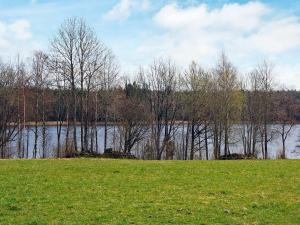 um campo relvado com um lago e árvores ao fundo em 7 person holiday home in R RVIK em Rörvik